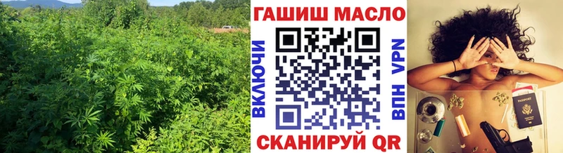 KRAKEN ONION  Алзамай  ТГК жижа 