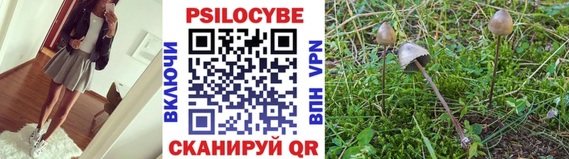 Псилоцибиновые грибы ЛСД  Алзамай 